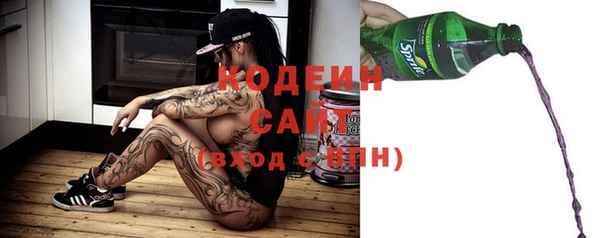 индика Володарск
