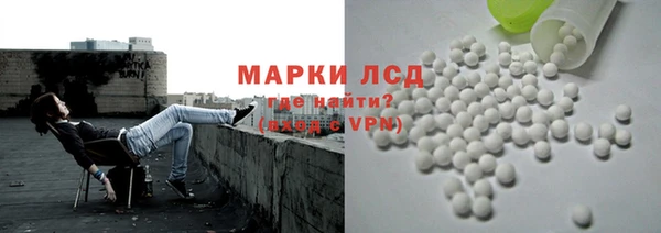 индика Володарск