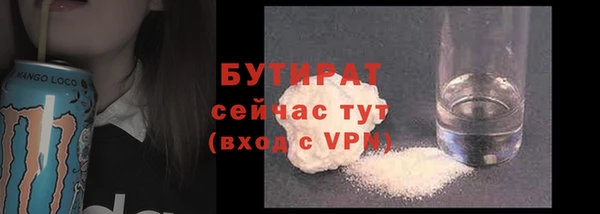 стаф Богданович