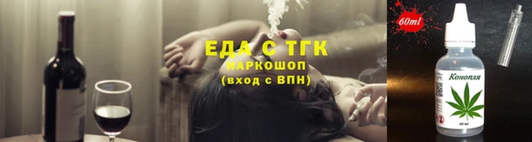 индика Володарск