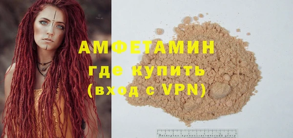 индика Володарск