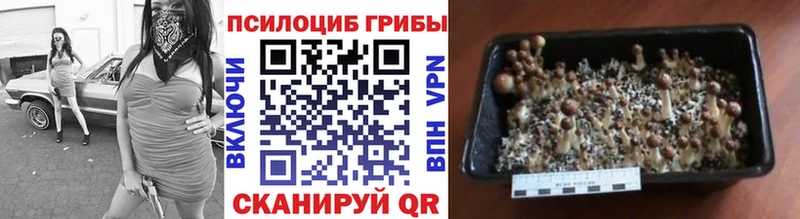 площадка телеграм Заозёрск Псилоцибиновые грибы мухоморы